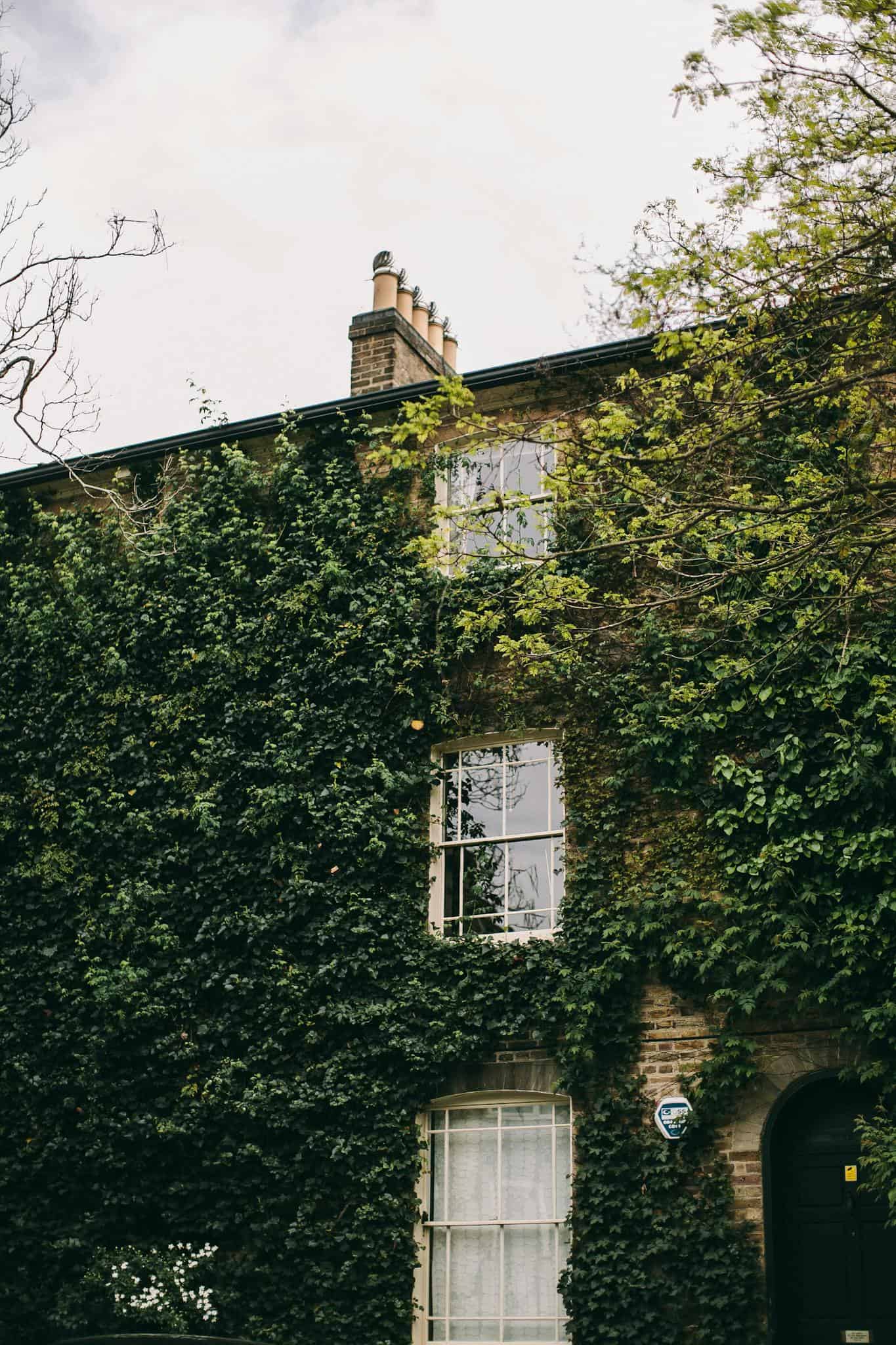 Classic English house with ivy-covered walls and windows in a tranquil neighborhood.